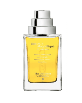 The Different Company – Une Nuit Magnétique
